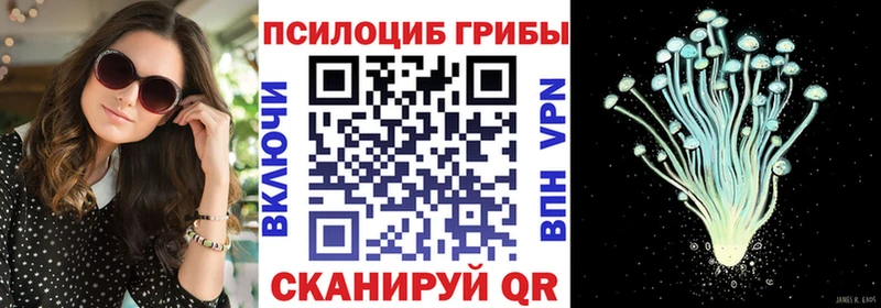 Галлюциногенные грибы Psilocybine cubensis  Тбилисская 